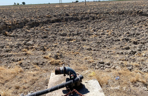 Ekime hazır tarlada 20 metre çapında obruk oluştu