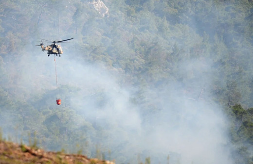 İzmir Menderes'teki orman yangını kontrol altında