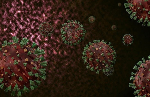 Tayland'da ülke dışından gelen bir kişide M çiçeği virüsü tespit edildi