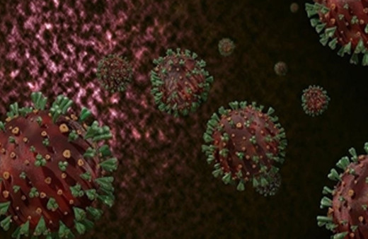 Türkiye'de maymun çiçeği görüldü mü? 'Karantina' iddiasına Ankara İl Sağlık Müdürlüğünden açıklama geldi