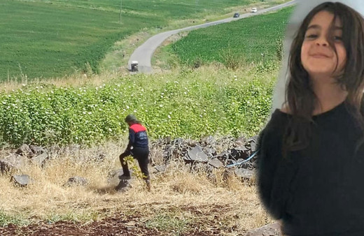 8 yaşındaki Narin kaçırıldı mı? Köy girişinde terlik bulundu, ailesi kahroldu