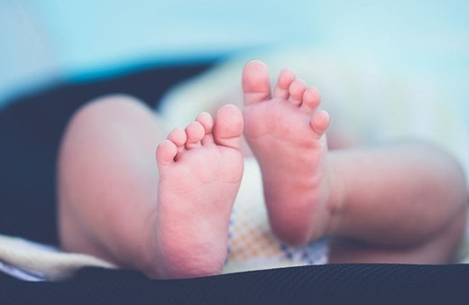 Mahkemenin 'topu kanı' kararı tepki çekti! Sağlık Bakanlığı davaya müdahil oldu