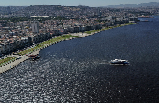 Çevre, Şehircilik ve İklim Değişikliği Bakanlığı'ndan İzmir Körfezi'ndeki balık ölümlerine ilişkin inceleme