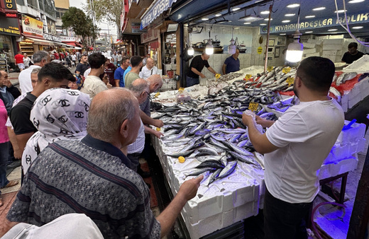Samsun'da hamsinin kilogramı 200, palamudun tanesi 50 liradan satılıyor