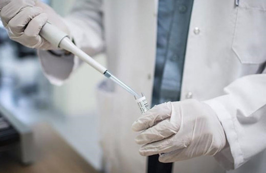 Japon bilim insanlarından korkutan araştırma! 2 bin kilometre uçabildikleri...