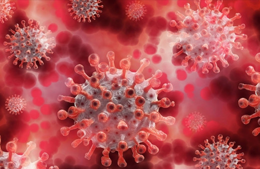 İstanbul İl Sağlık Müdürlüğünden "M çiçeği virüsü" iddialarına ilişkin açıklama