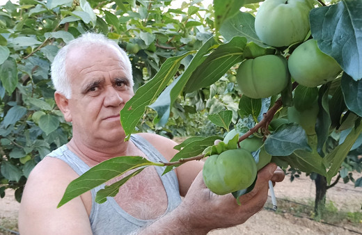 Meyve bahçesine bu sistemi kurdu, enerji maliyeti sıfıra düştü! 100 bin lira cebinde kaldı...