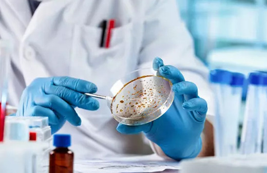 40 milyon kişi hayatını kaybedecek, hiçbir ilaç fayda etmeyecek! Dünya alarmda