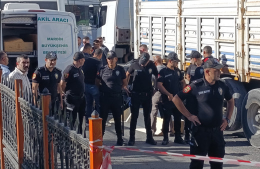 Mardin'de tırın çarptığı 60 yaşındaki kadın öldü