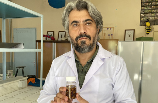 Konya'da yeni akrep türü keşfedildi