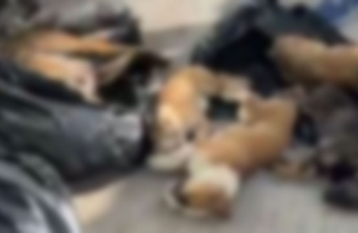 Gebze Belediye Başkanı Zinnur Büyükgöz'den açıklama: Görüntüleri ben de seyrettim çok üzüldüm