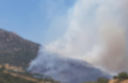 İzmir Foça'da ormanlık alanda yangın çıktı