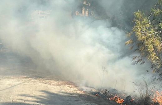 Alanya'da orman yangını çıktı! Ekipler bölgede...