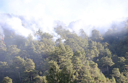 Muğla'daki orman yangınlarında son durum! MSB 5 helikopter görevlendirdi