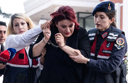 "Yenidoğan Çetesi" soruşturmasında kronolojik sıralama!