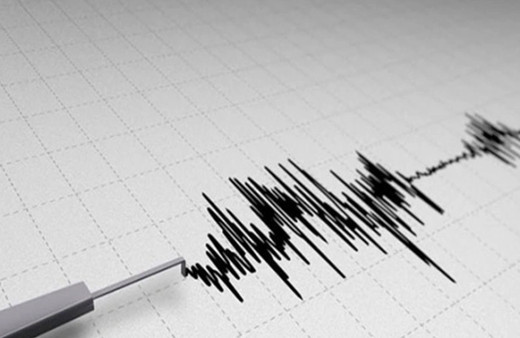 Muğla'da panik yaratan deprem! AFAD'dan açıklama geldi