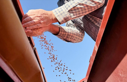 “Atalık Ahmet Buğdayı”nın 2 bin yıllık mirası, Duru Bulgur’la nesillere aktarılıyor
