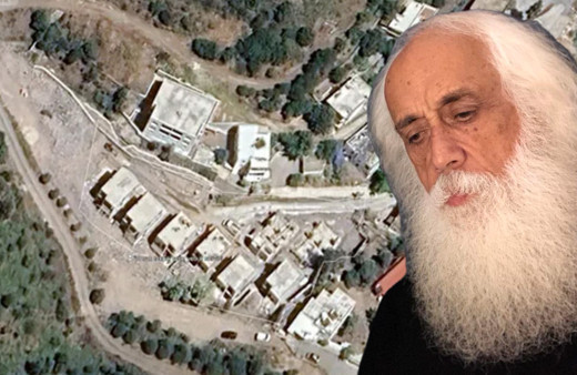 Ağaç katliamı pahalıya patladı! Bakanlıktan şarkıcı Suavi'ye ceza: Kesilen her ağaç için...