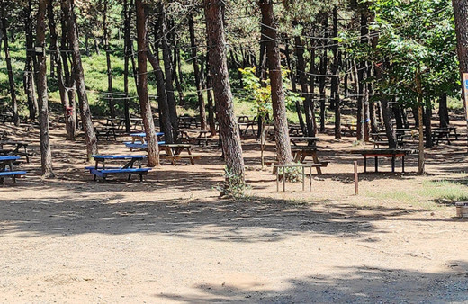 DMM'den 'Belgrad Ormanı imara açılıyor' iddiasıyla ilgili açıklama