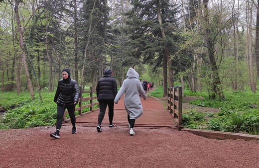 Tarım ve Orman Bakanlığı'ndan Belgrad Ormanı açıklaması