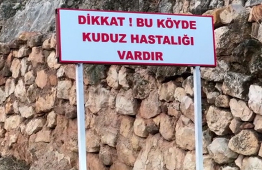 Adıyaman'da kuduz alarmı! Bir köy karantina altına alındı
