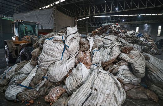 En çok tüketilen sebzede hastalık! 400 ton imha edildi