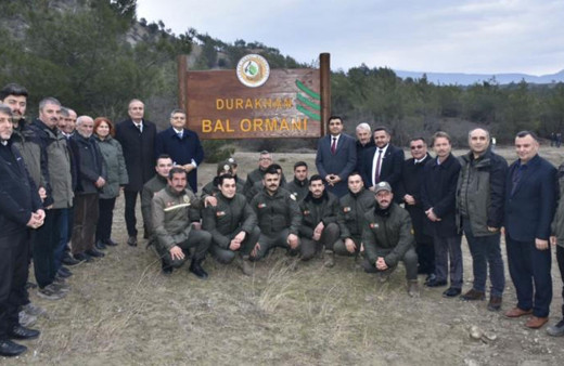 827'nci Bal Ormanı Sinop'ta kuruldu