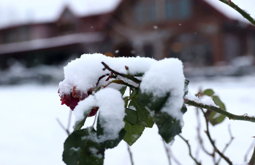 Trakya'da kar başladı İstanbul'a geliyor!