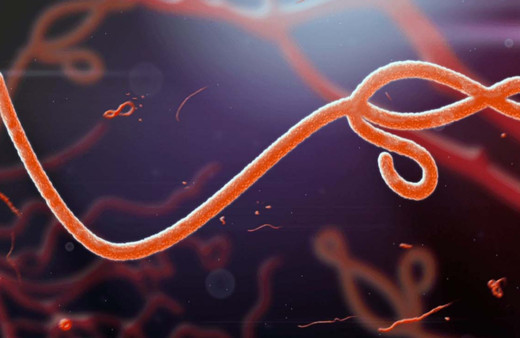 Ebola virüsü yeniden hortladı! Belirtileri...