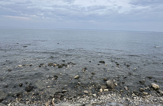 Hatay'ın bazı kıyılarında deniz suyu çekildi