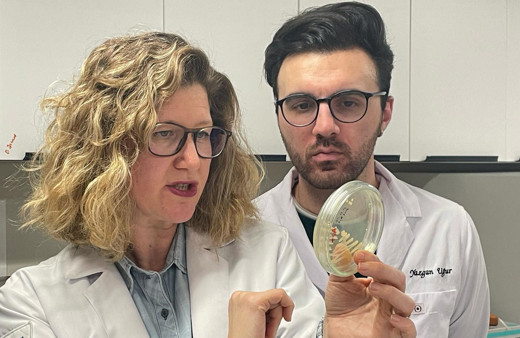 Bilim insanları uçak yakıtında yeni bir bakteri cinsi keşfetti