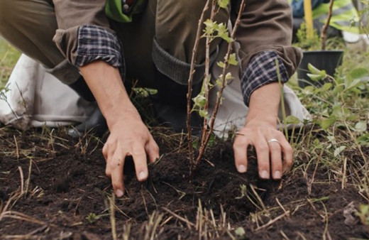 Şehir peyzajlarına bakanlık standardı geliyor 