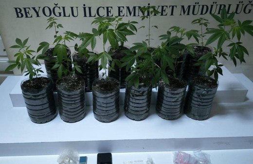 Beyoğlu'nda pet şişelerde uyuşturucu yetiştirip satan şüpheli tutuklandı