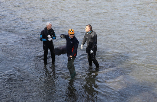 Amasya'da Yeşilırmak'ta erkek cesedi bulundu