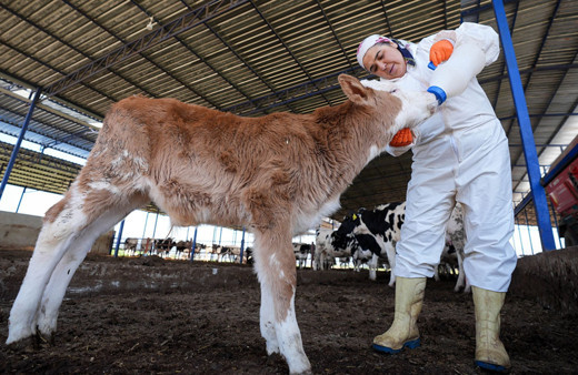 Eşi 3 kez iflas edince hayvan çiftliği kurup iş kadını oldu