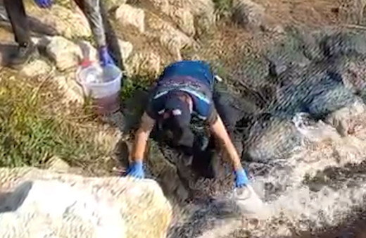 Bakanlıktan balık ölümleri görülen Ceyhan Nehri’nde inceleme