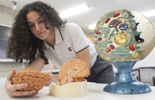 Lise öğrencisi beyin tümörü ve bağırsak ilişkisini incelediği projesiyle TÜBİTAK'tan ödül aldı