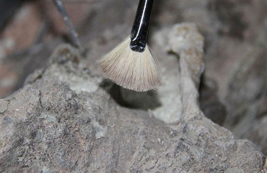 İspanya'da 1.4 milyon yıllık insan kalıntısı bulundu