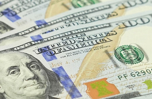 Özel sektörün yurt dışı kredi borcu Ocak 2025'te arttı