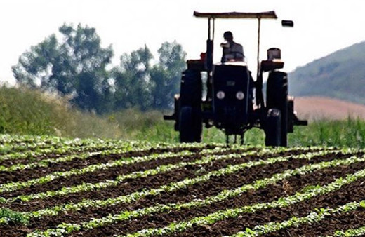 Çiftçilere yaklaşık 2,8 milyar lira destek ödemesi yarın yapılacak