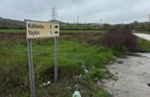 Çanakkale'de bir köyde şap karantinası