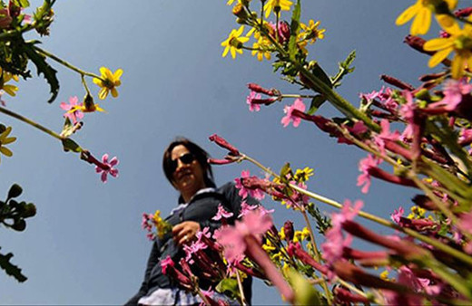 Beklenen hava durumu açıklaması! Bahar geliyor, sıcaklık mevsim normallerini aşacak İstanbul, Ankara,İzmir...