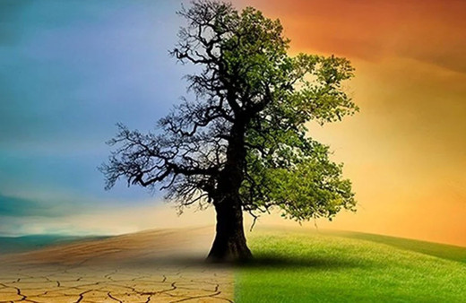 İletişim Başkanlığı İklim Kanunu Teklifi'ne ilişkin iddiaları yalanladı