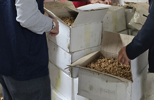 Vatandaşa yedireceklerdi! Tam 11 ton hem küflenmiş hem de kurtlanmış...