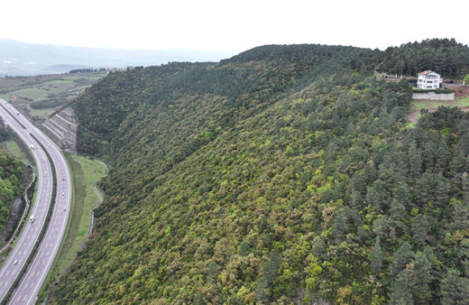 İzmir otoyolu üstünde dağın zirvesindeki ev bakın kiminmiş sahibi 9 odalı evi...