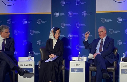 TCMB Başkan Yardımcısı Hatice Karahan'dan dikkat çeken enflasyon açıklaması