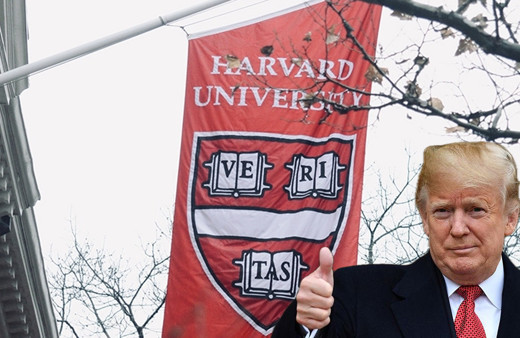 Trump, Harvard Üniversitesi'ne karşı alınacak kararı duyurdu! "Hak ettikleri bu"