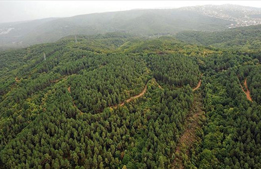 Valilik açıkladı! 177 gün süreyle girişler yasaklandı