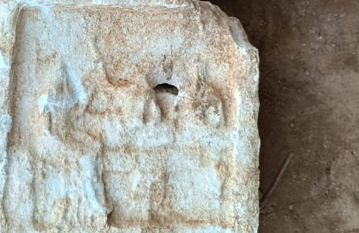 İzmir'de ceviz bahçesini işlerken iş makinesine takıldı