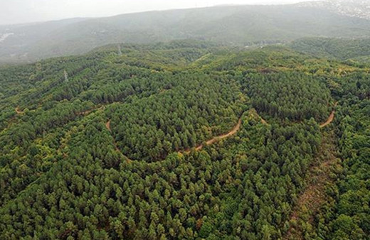 Bir ilde daha ormanlık alanlara girişler yasaklandı
